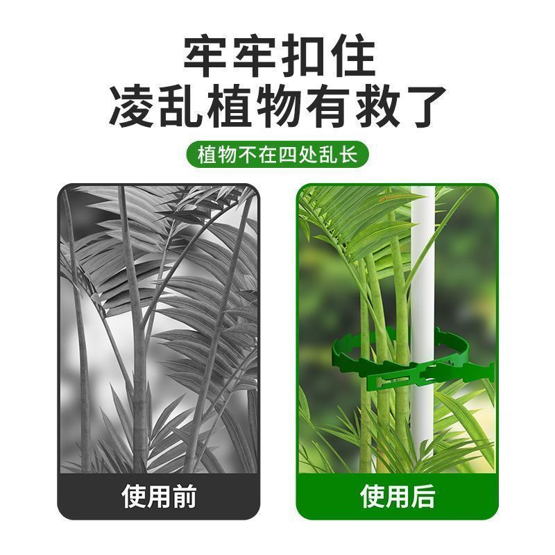园艺绑藤植物固定用可调节鱼骨扎带捆绑线多用途园林专用