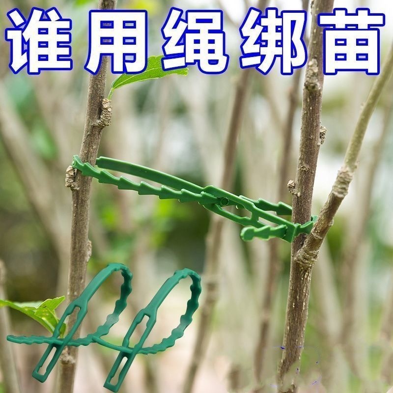 园艺绑藤植物固定用可调节鱼骨扎带捆绑线多用途园林专用
