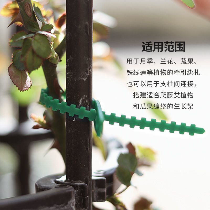 园艺绑藤植物固定用可调节鱼骨扎带捆绑线多用途园林专用