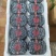 山东蓝莓,L25.L11.F6果大粉好纯甜无酸,全国发货