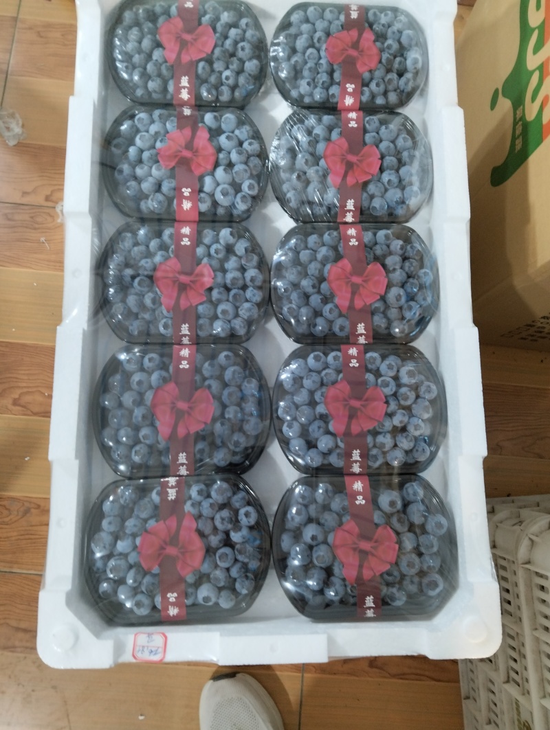 山东蓝莓，L25.L11.F6果大粉好纯甜无酸，全国发货