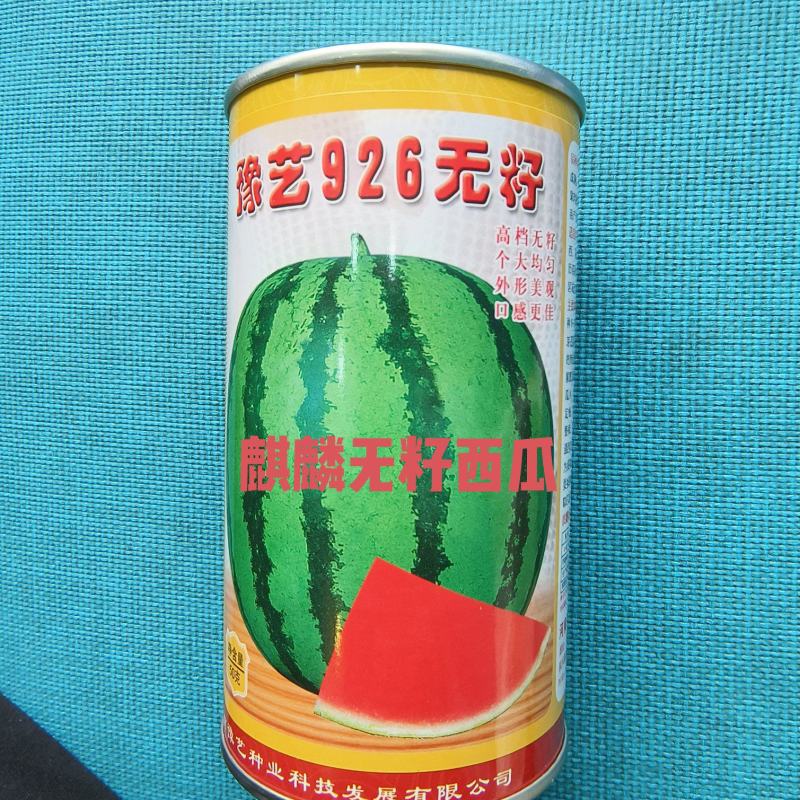 豫艺926无籽西瓜种抗病抗裂含糖量高亩产5000公斤