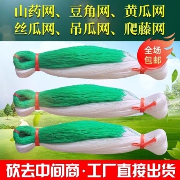 爬藤网百香果豆角攀爬网黄瓜网爬藤网瓜网蔬菜爬藤网丝瓜