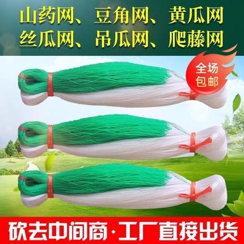 爬藤网百香果豆角攀爬网黄瓜网爬藤网瓜网蔬菜爬藤网丝瓜