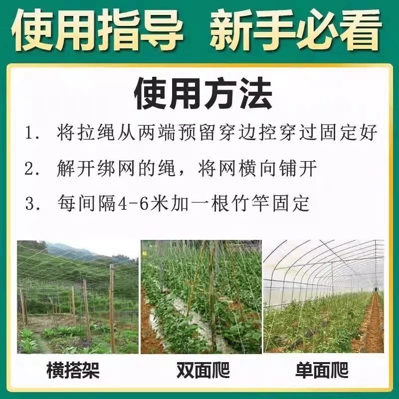 爬藤网百香果豆角攀爬网黄瓜网爬藤网瓜网蔬菜爬藤网丝瓜