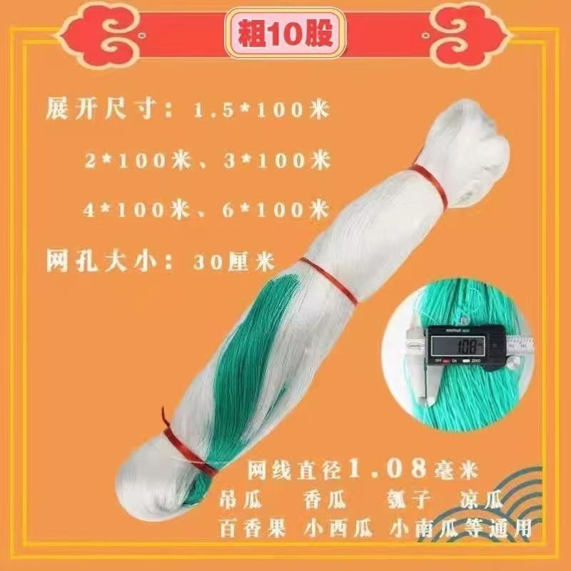 爬藤网百香果豆角攀爬网黄瓜网爬藤网瓜网蔬菜爬藤网丝瓜