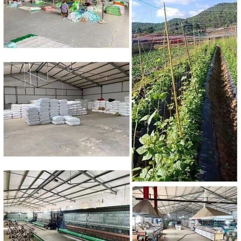 爬藤网百香果豆角攀爬网黄瓜网爬藤网瓜网蔬菜爬藤网丝瓜