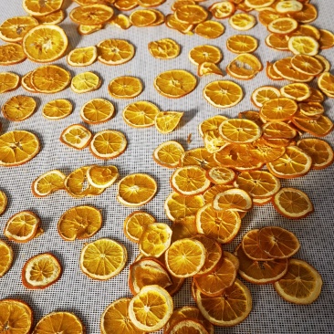 橙子片