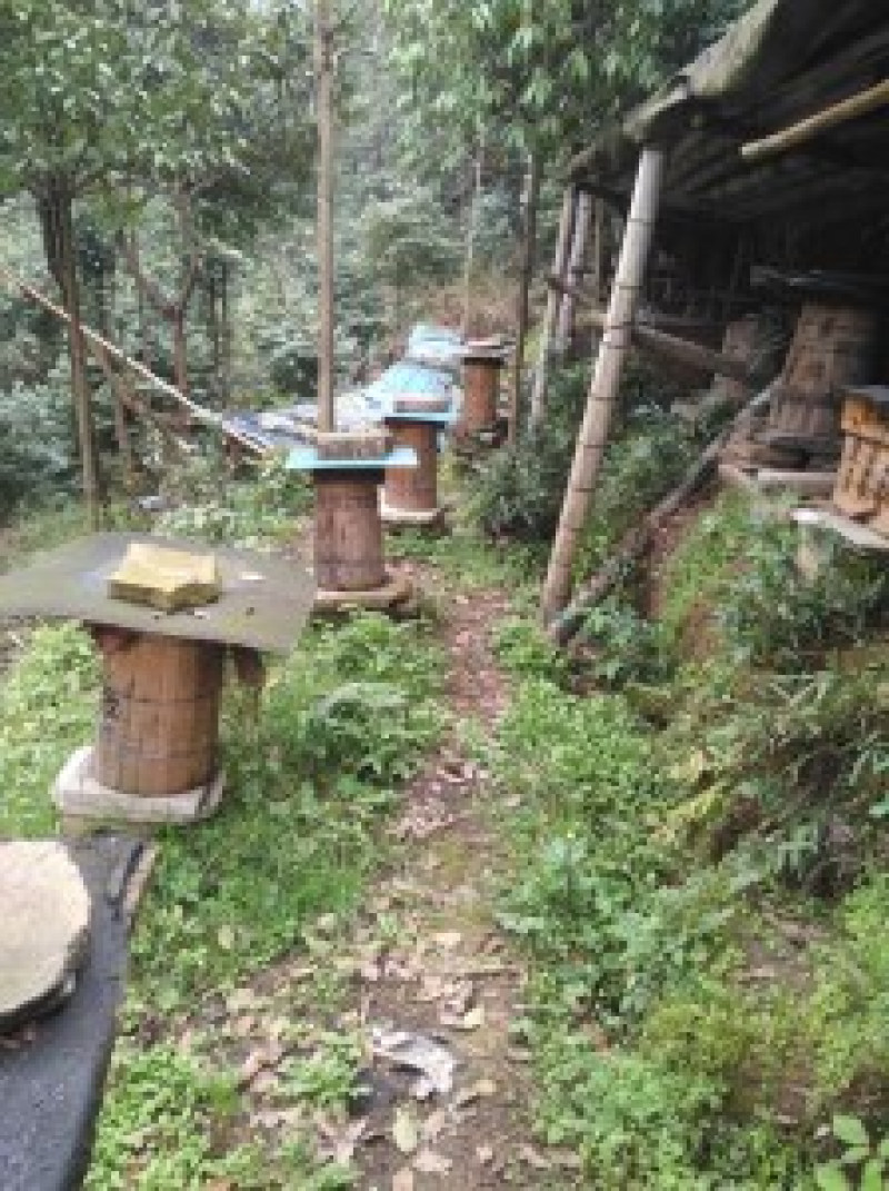 高山土蜂蜜，百花蜜，一手货源，品质保证，欢迎咨询
