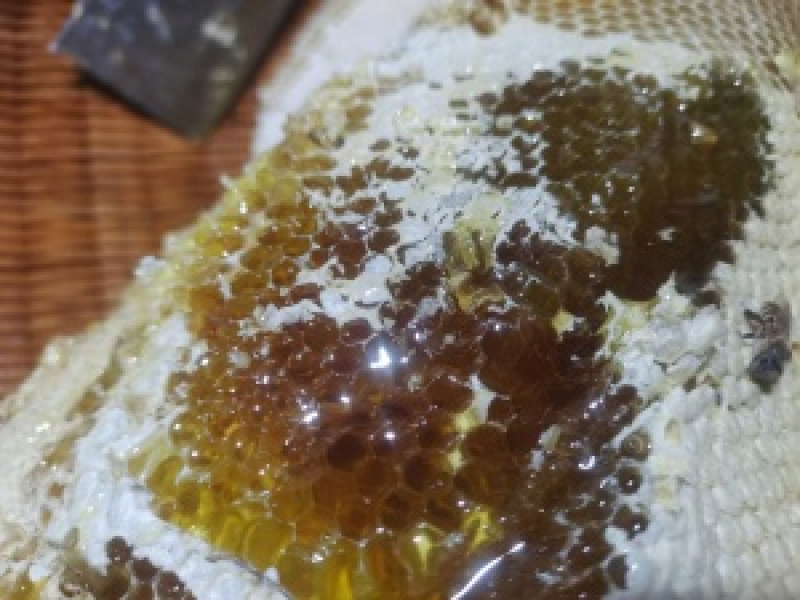 高山土蜂蜜，百花蜜，一手货源，品质保证，欢迎咨询