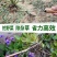 家用拔草神器园艺除草工具除草神器起草根器挖野菜户外起