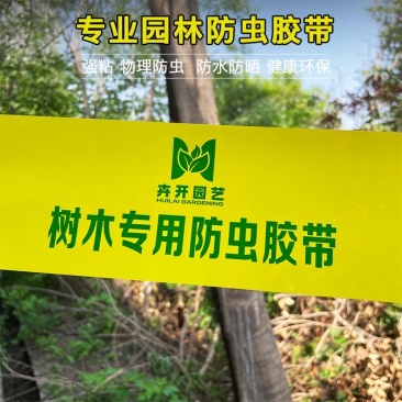 防虫胶带园林专用强力粘虫防虫果树大树树干绿化防虫苗木