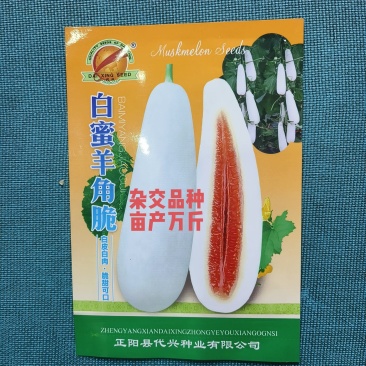 白蜜羊角脆甜瓜种子早熟果肉白色单瓜重1000克