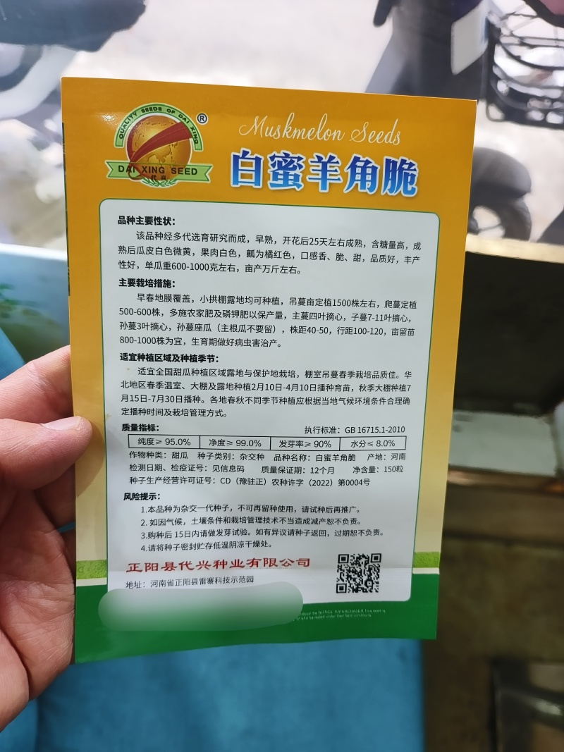白蜜羊角脆甜瓜种子早熟果肉白色单瓜重1000克