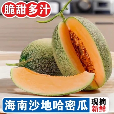 《海南哈密瓜》晓蜜25哈密瓜/海南直发/按需订货保质保量