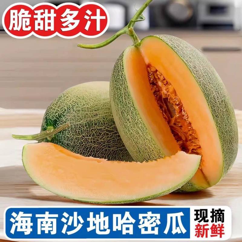 《海南哈密瓜》晓蜜25哈密瓜/海南直发/按需订货保质保量
