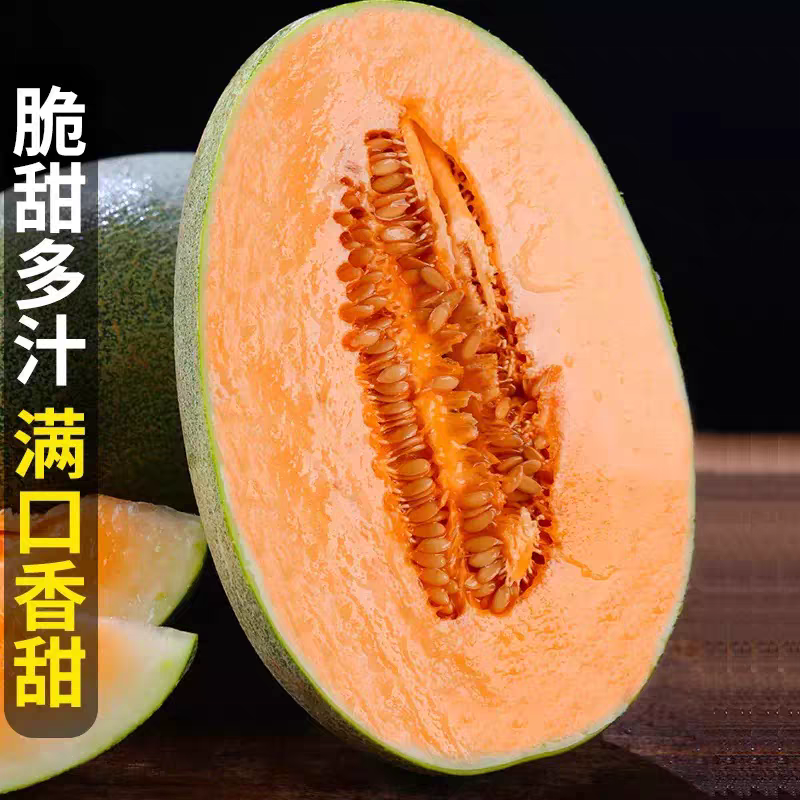 《海南哈密瓜》晓蜜25哈密瓜/海南直发/按需订货保质保量