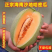 《海南哈密瓜》晓蜜25哈密瓜/海南直发/按需订货保质保量