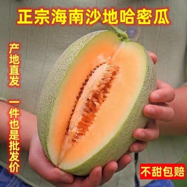 《海南哈密瓜》晓蜜25哈密瓜/海南直发/按需订货保质保量
