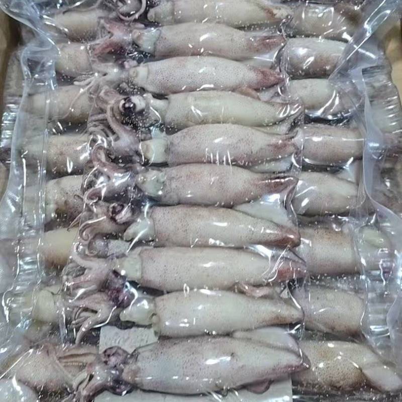 天然全籽籽乌一箱10盒一盒30条