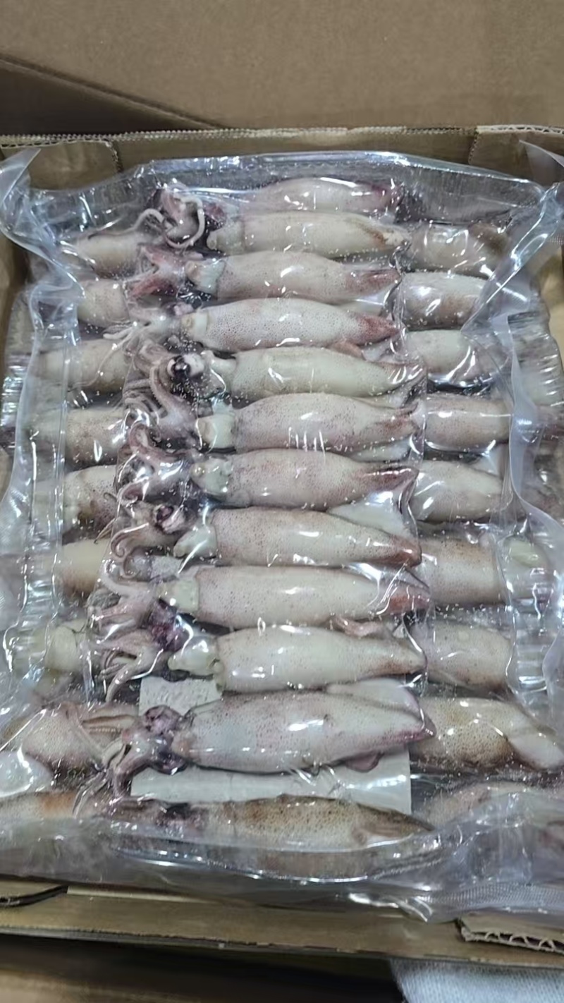 天然全籽籽乌一箱10盒一盒30条