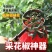 新款摘花椒神器防止扎手专用采摘机手持式剪花椒酸枣枸杞