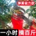 新款摘花椒神器防止扎手专用采摘机手持式剪花椒酸枣枸杞