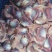 新鲜鹅肾，鹅胗源头产品，产地直销，支持全国发货！
