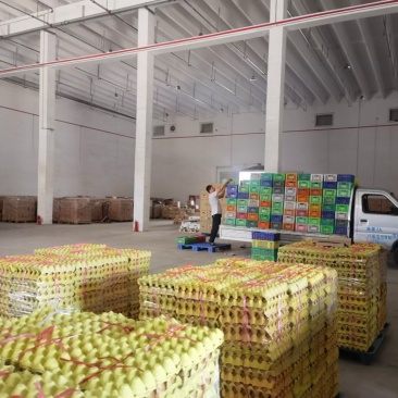 每天都是鲜鸡蛋，养殖场直供，质量品质有保障