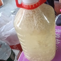 自酿三滩客家糯米甜酒又称醪糟、酒酿，是我国流传的