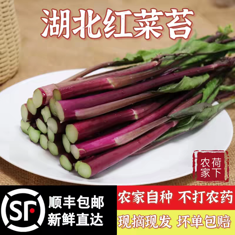 湖北紫菜苔红菜苔大量有货支持视频看货打款发货