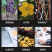 葡萄园艺扎带绑扎电子厂光伏扎线手工包塑铁丝无花果绑丝