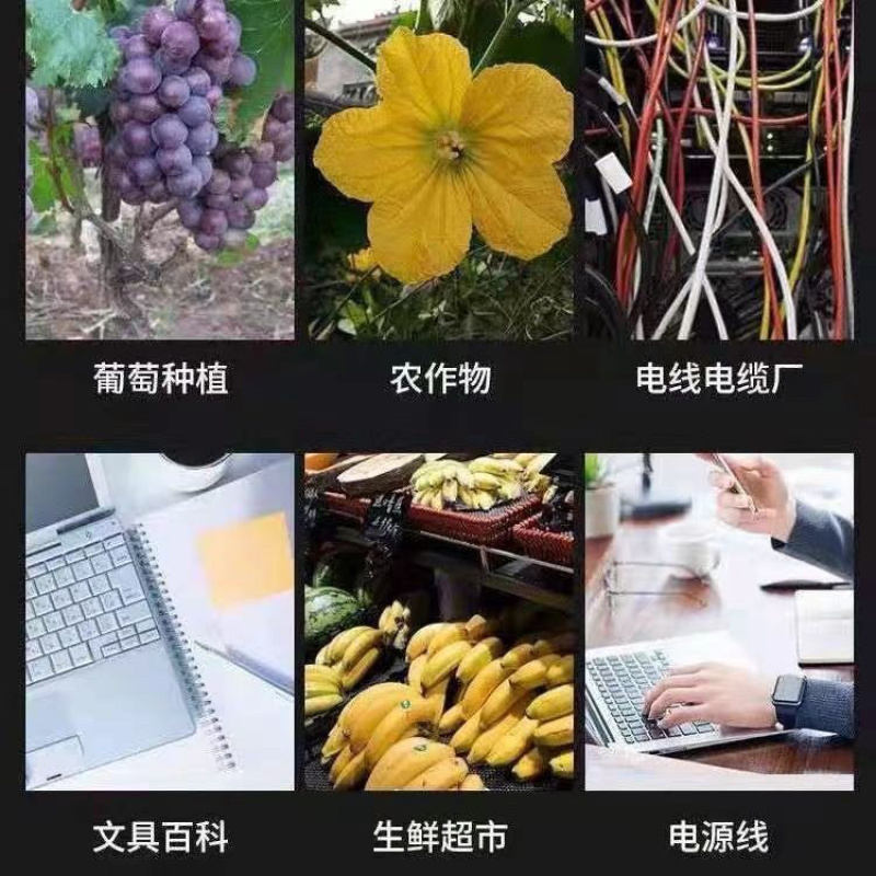 葡萄园艺扎带绑扎电子厂光伏扎线手工包塑铁丝无花果绑丝