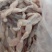 三去牛蛙肉免处理商用田鸡烧烤食材鲜活处理蛙肉
