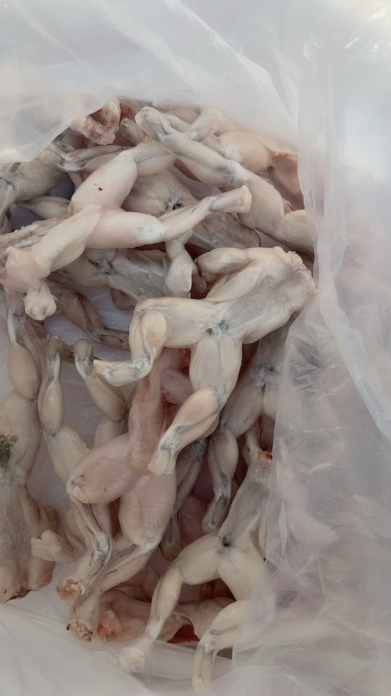 三去牛蛙肉免处理商用田鸡烧烤食材鲜活处理蛙肉
