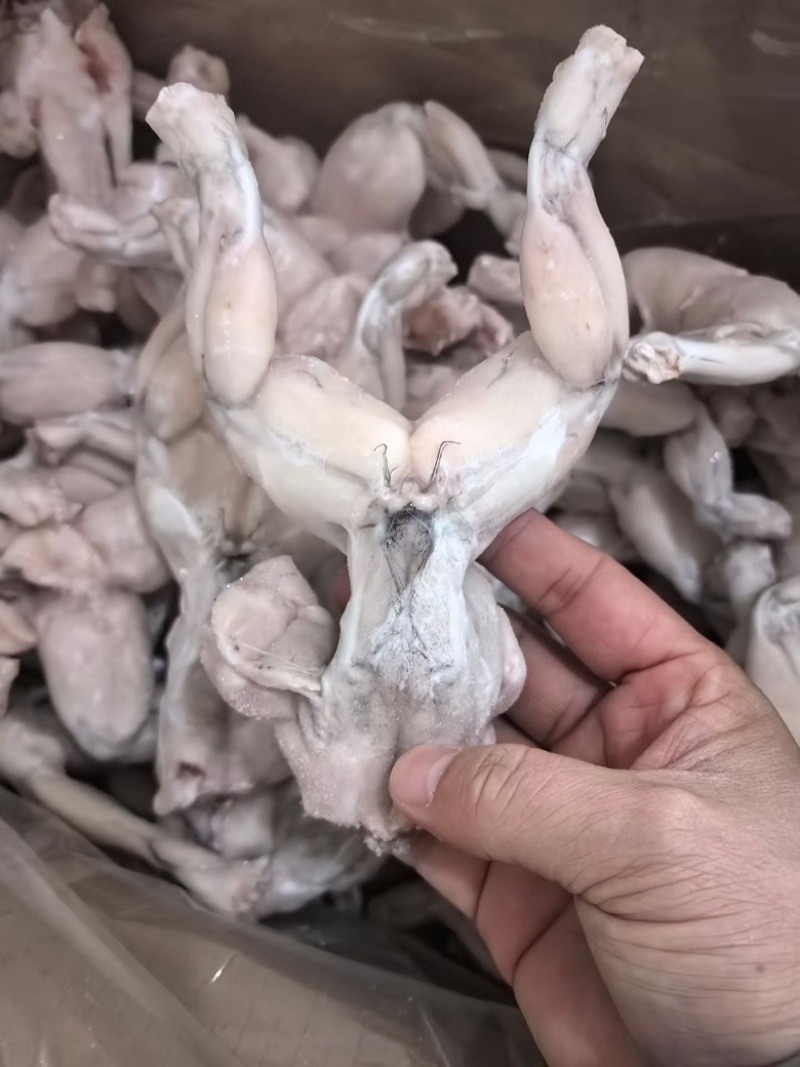 三去牛蛙肉免处理商用田鸡烧烤食材鲜活处理蛙肉