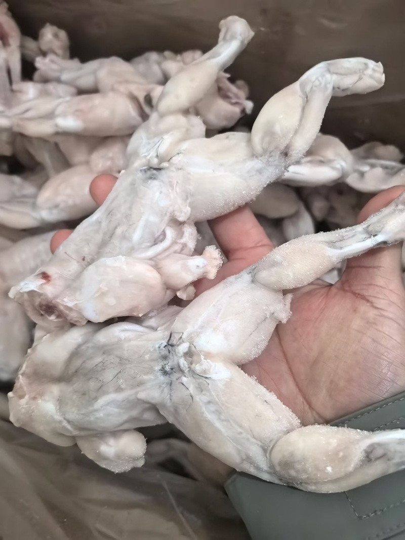 三去牛蛙肉免处理商用田鸡烧烤食材鲜活处理蛙肉
