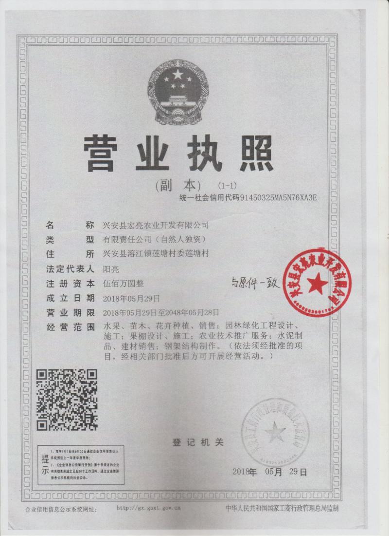 猕猴桃/八月瓜园棚架搭建，猕猴桃架子搭建，八月瓜棚架搭建