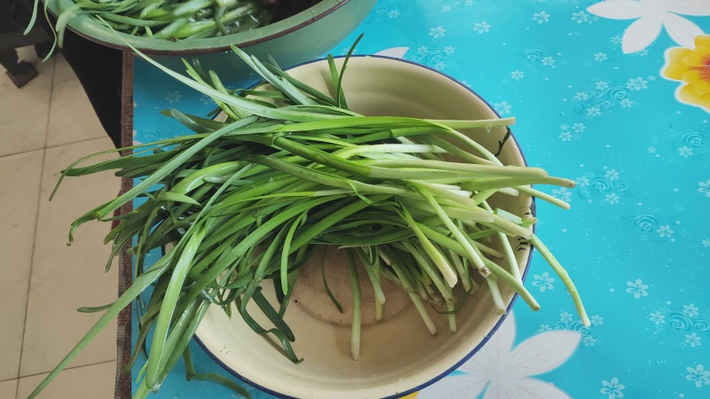 精品韭菜，张家口直接发货。商超对接。