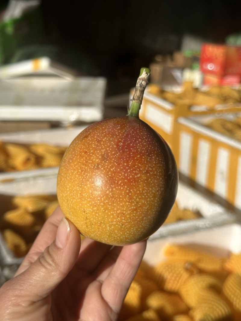 热情果一件代发