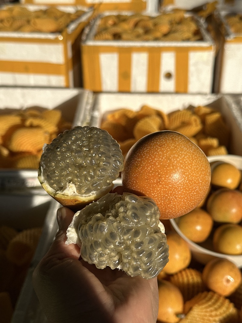 热情果一件代发