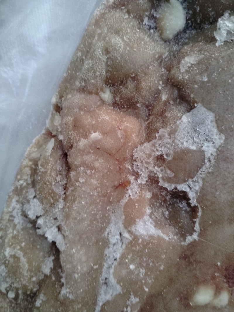 白鲢鼓泡大白刁籽冬天火锅必选