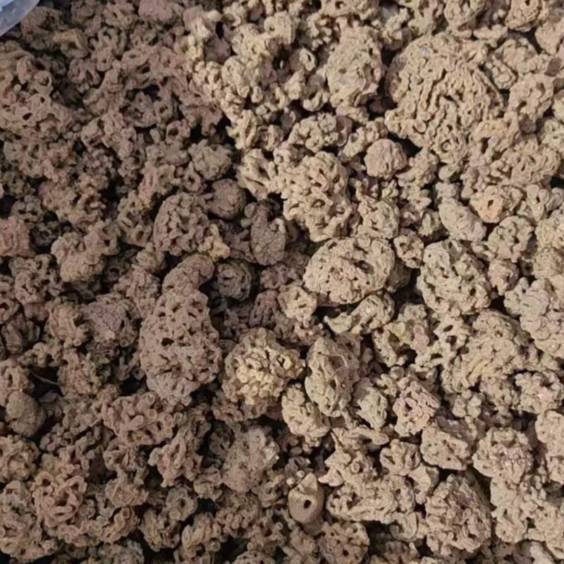 海浮石花产地直供一手货源量大从优欢迎咨询