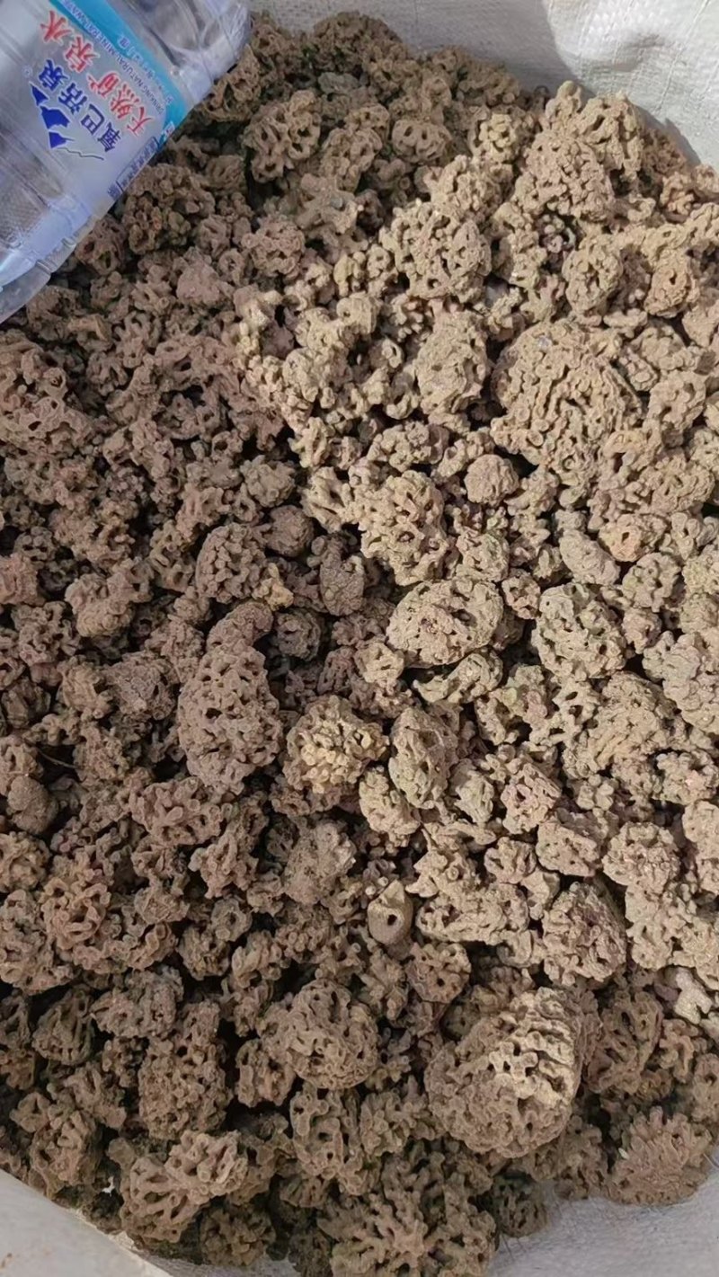 海浮石花产地直供一手货源量大从优欢迎咨询