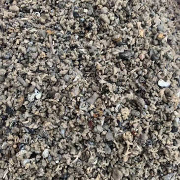 海浮石花小粒产地直供一手货源量大从优欢迎咨询