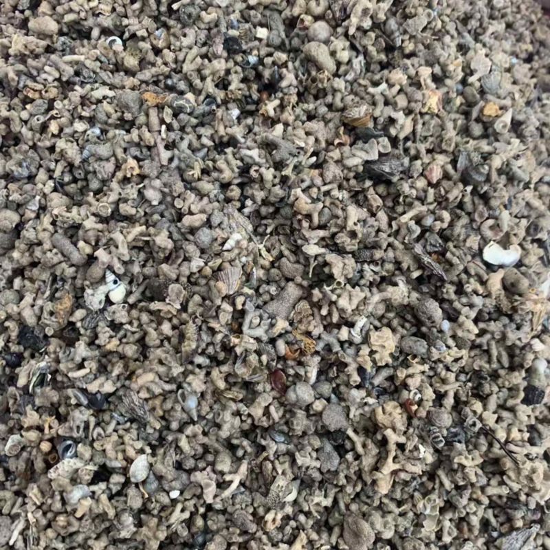 海浮石花小粒产地直供一手货源量大从优欢迎咨询