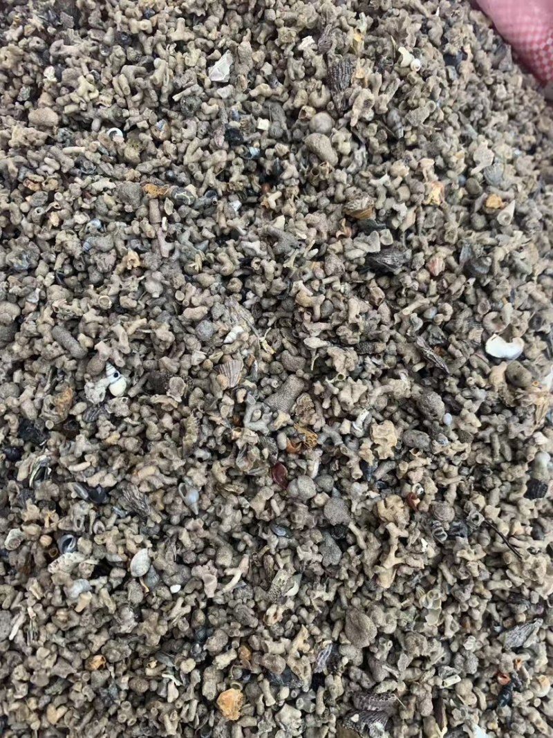 海浮石花小粒产地直供一手货源量大从优欢迎咨询