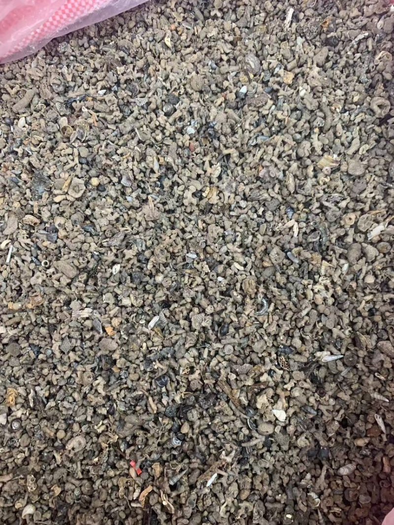 海浮石花小粒产地直供一手货源量大从优欢迎咨询