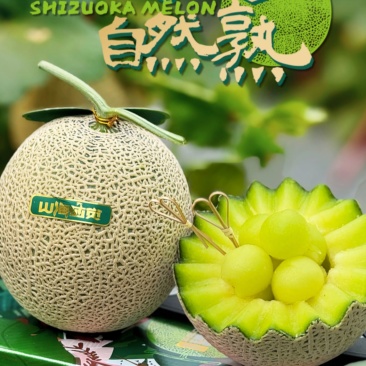正宗海南晓蜜哈密瓜供应各大电商平台25号网纹瓜