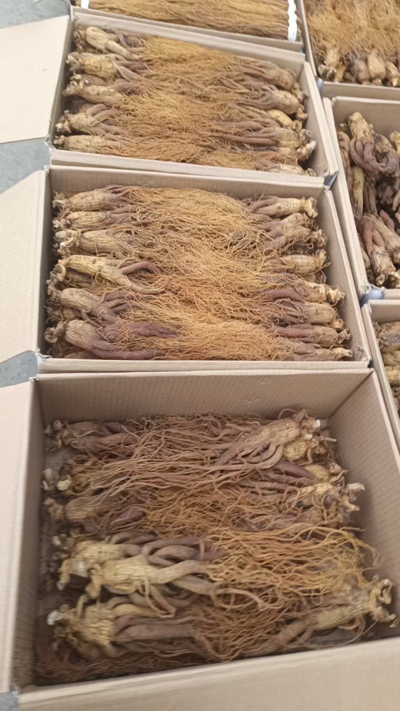 长白山无糖红参